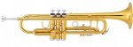 Trumpet